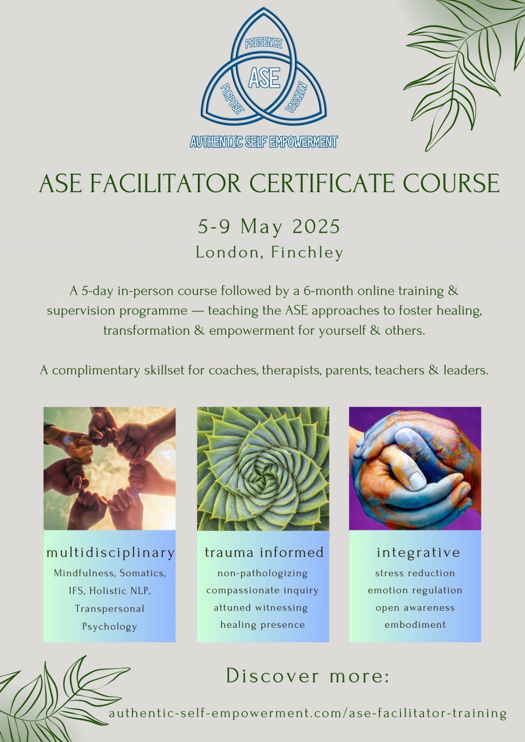 ASE Facilitator training