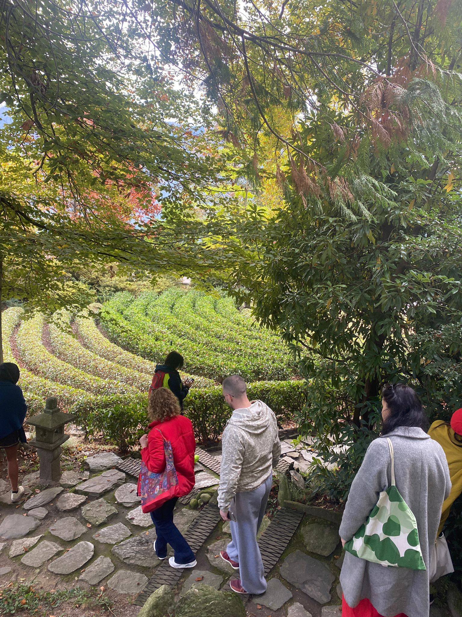 ASE Facilitator training/retreat in Switzerland 